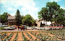 Pennsylvania Lancaster The Amish Fram And House 1962 - Lancaster