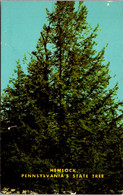 Pennsylvania State Tree The Hemlock - Sonstige