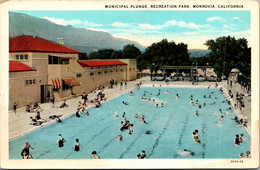 California Monrovia Recreation Park Municipal Plunge Swimming Pool Curteich - Otros & Sin Clasificación