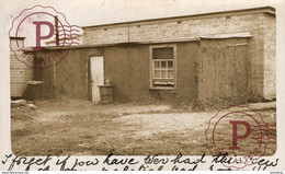 RPPC   PINNAROO     AUSTRALIA OCEANIA PHOTO REEVES - Altri & Non Classificati