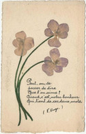 CPA Herbier - Véritables Fleurs Séchées Avec Poeme - Autres & Non Classés