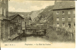 CP De PEPINSTER " Le Bief De Lusine " - Pepinster