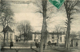 Cholet * Place Et Le Square De La Demi Lune * Attelage - Cholet