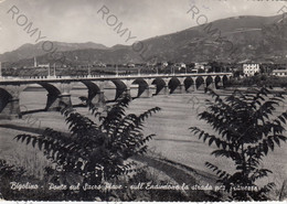 CARTOLINA  BIGOLINO,TREVISO,VENETO,PONTE SUL SACRO PIAVE-SULL"ENDIMIONE LA STRADA PER PIANEZZE,VIAGGIATA 1954 - Treviso