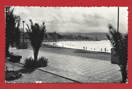 CARTOLINA VG SPAGNA - CANARIE - PUERTO DE LA LUZ - Playa De La Canteras - 9 X 14 - 1954 - La Palma