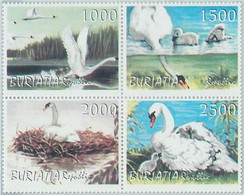 M2255- RUSSIAN STATE, STAMP SET: Swans, Birds - Cisnes