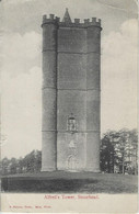 Stourhead.   Alfred's Tower.   -   1905   Shaftesbury   Naar    Brighton - Salisbury