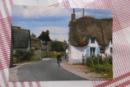 D 44 - Parc Régional De Brière - Saint Joachim - Chaumières àl'ile De Fedrun - Saint-Joachim