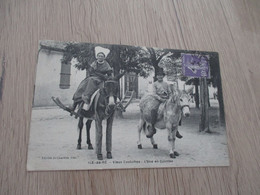 CPA 17 Charente Maritime  Ile De Ré Vieux Costumes L'âne En Culottes - Ile De Ré