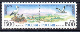 Rusia Serie Nº Yvert 6152/53** AVES (BIRDS) - Unused Stamps