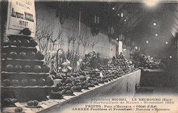 ROUEN - Exposition D'Horticulture - Novembre 1924 - Pépinières MICHEL - VITOT Près Le Neubourg - Rouen