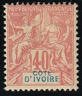 Côte D'Ivoire N°10 - Neufs * Avec Charnière - 1 Point De Pelurage Sinon TB - Unused Stamps