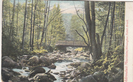 B2383) ADIRONDACK Mountains - WILMINGTON - North Brook OLD ! - Adirondack