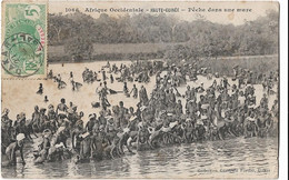 Guinee Francaise    -   Afrique Occidentale  - Haute Guinee  -  Peche Dans Une Mare - Guinée Française