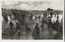 Guinee Francaise    -  Collection  E Lattes Bamako -   - Scene De Peche - Guinée Française