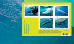 CANADA 2022 New ** Endangered Whales: Marine Mammals, Fauna MS FDC  (**) - Brieven En Documenten