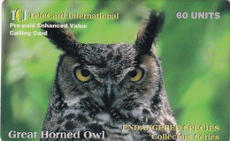 USA - Great Horned Owl, TCI Prepaid Card 60 Units, Exp.date 30/04/97, Used - Owls
