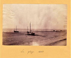 Blankenberghe - 1894 - Oude Foto Van Emiel Puttaert - Vue Sur La Plage - Blankenberge