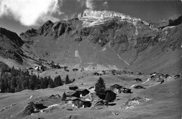 Mürren Blumental Mürrenbirg Suppenalp - Mürren