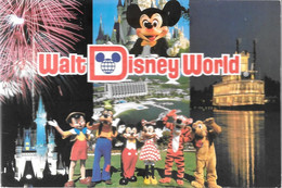 CPA-1990-WALT DISNEY WORLD-ORLANDO FLORIDE- TBE - Disneyworld