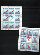 Yugoslavia / Jugoslawien 1992 Olympic Games Albertville Michel 2523 - 2524 Kleinbogen / Sheet Sauber Gestempelt / FU - Used Stamps