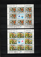 Yugoslavia / Jugoslawien 1992 Football Championship  Michel 2542 - 2543 Kleinbogen / Sheet Sauber Gestempelt / Fine Used - Gebruikt