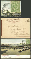 ORANGE RIVER COLONY: Postcard With View Of "Market Square" Franked With ½p., Sent From Bloemfontein To ARGENTINA On 16/J - Orange Free State (1868-1909)