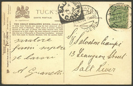 RHODESIA: 27/OC/1908 BULAWAYO - Salt-River (C.G.H.), Postcard Franked With ½p., Arrival Mark Of 2/NO, Very Fine Quality! - Other & Unclassified