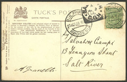 RHODESIA: 27/OC/1908 BULAWAYO - Salt-River (C.G.H.), Postcard Franked With ½p., Arrival Mark Of 2/NO, Very Fine Quality! - Other & Unclassified