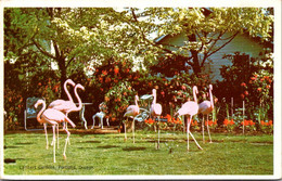 Oregon Portland Lambert Gardens 1959 - Portland