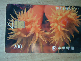 TAIWAN  USED CARDS   FLOWERS CACTUS - Bloemen