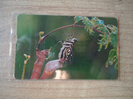 TAIWAN  USED CARDS  INSECTS BUTTERFLIES - Schmetterlinge