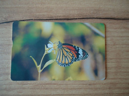 TAIWAN  USED CARDS  INSECTS BUTTERFLIES - Papillons