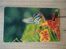 TAIWAN  USED CARDS  INSECTS BUTTERFLIES - Papillons