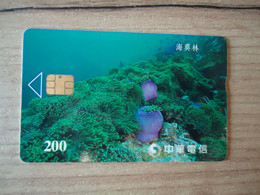 TAIWAN USED CARDS MARINE LIFE FISHES - Peces