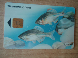 TAIWAN  USED CARDS  FISH FISHES - Vissen