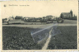 Grez-Doiceau   :  Panorama Du Biez - Graven