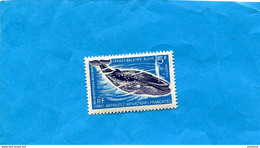 T A AF -Antartique Français +1960-n°22*** Sans Ch Baleine Bleue Cote 31 Eu - Ungebraucht