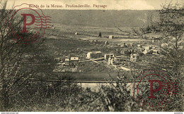 RARE Vallée De La Meuse - Profondeville - PAYSAGE - Profondeville