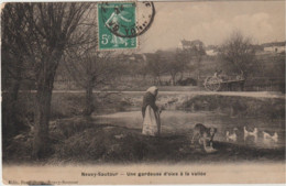 Dépt 89 - NEUVY-SAUTOUR - Une Gardeuse D'oies à La Vallée -troupeau D'OIES - Photo-Émail Breger - Neuvy Sautour