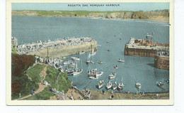 Cornwall Postcard  Regatta Day  Newquay  . Unused Rp Dennis And Sons - Scilly Isles