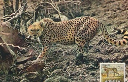 Angola & Postal, Ultramar, Postcard With Stamp, African Fauna, Leopard, The Hunter (4066 ) - Angola