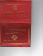 Delcampe - LE RHIN ROMANTIQUE12 CARTES EN COULEUR D APRES LES PEINTURES A L HUILE DE N. VON ASTUDIN  REF 1708 - Libros & Catálogos