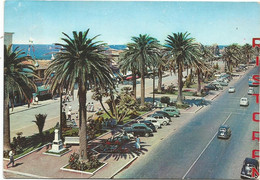 AB4723 Viareggio (Lucca) - Viale Lungomare - Auto Cars Voitures - Panorama / Viaggiata 1958 - Viareggio