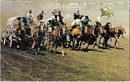 Canada -     Chuckwagon Races      - The  Calgary  Stampede Boasts  Many Spectular Attractins -  Cachet Depart Winnipeg - Andere & Zonder Classificatie