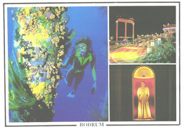 Turkey:Bodrum, Underwater Sport In Bodrum, Diving - Kunst- Und Turmspringen