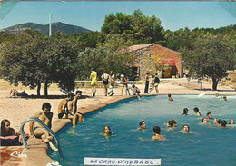 83 - Var - LA CRAU D'HYERES - "LE PINéDOU" - La Piscine - La Crau