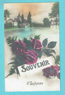 * Eghezée (Namur - La Wallonie) * (ABC 2070) Souvenir D'Eghezée, Fantaisie, Fleurs, Rose, Unique, TOP, Rare - Eghezee