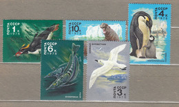 BIRDS RUSSIA Antarctica 1978 MNH(**) Mi 4742-4746  YV 4498-4502 Sc 4679-4683 #33351 - Zonder Classificatie