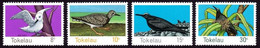 TOKELAU 1977 Birds Sc#57-60 MNH @S4075 - Tokelau